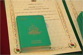 Vanuatu Citizenship by Investment Your Gateway to a New Life 880908455