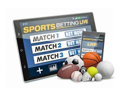 Descubra o Mundo das Apostas Online com a Betwinner