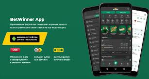 Experience the Thrill of BetWinner Casino Your Ultimate Gaming Destination