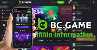 In-Depth BC App Reviews Discover the Best Features and User Experience