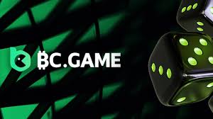 Understanding the BC.Game Mirror Login Process A Comprehensive Guide 702893598