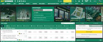 Comprehensive Guide to the BetWinner Platform Features, Benefits, and More
