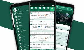 Comprehensive Guide to the BetWinner Platform Features, Benefits, and More