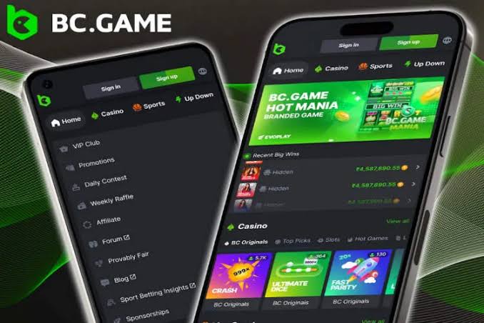 A Comprehensive Guide to the BC.Game Login Process A Comprehensive Guide to the BC.Game Login Process