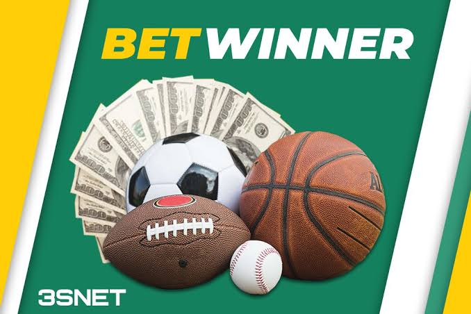 Explore the World of BetWinner Gambling Platform